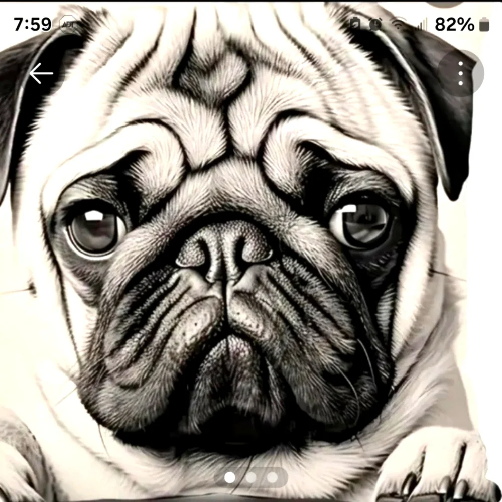 ADORABLE PUG STANDARD THROW PILLOW COVER SO UNIQUE 17x17